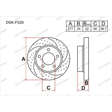 DSKF029