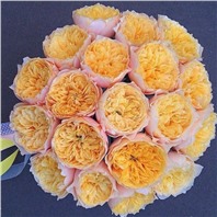 Букет из пионовидной розы