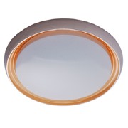 				MW-Light Ривз 50W LED 220 V пульт Люстра