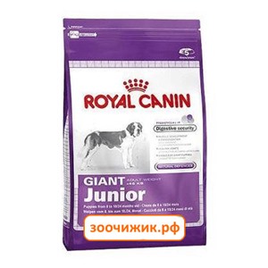 Сухой корм Royal Canin Giant adult для щенков (для гигантских пород с 8 месяцев до 2лет) (15 кг)