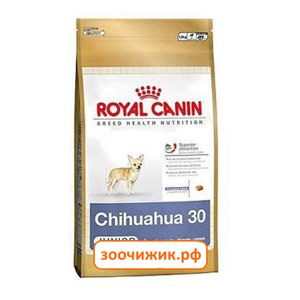 Сухой корм Royal Canin Chihuahua junior для щенков (для чихуахуа до 8 месяцев) (500 гр)