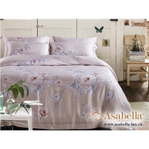 Комплект постельного белья Asabella 860 (размер евро)