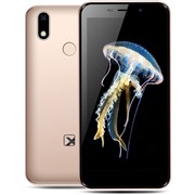Сотовый телефон TEXET TM-5081 Gold