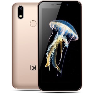 Сотовый телефон TEXET TM-5081 Gold
