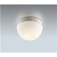 Светильник настенно-потолочный для ванных комнат Odeon Light 2443/1B Minkar 1xG9 матовый хром IP44