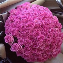 Букет из 101 розовой розы ( 70см)