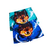 Трусы 2шт. BOKAI