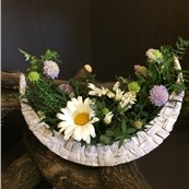 Цветочная композиция из живых цветов Анэля(скабиоза, ромашка) заказать доставку в Москве по лучшей цене в Салоне флористики на Расковой 23а. Круглосуточная доставка в Москве и МО.