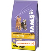 Сухой корм Iams для котят курица (300 гр) (1184)