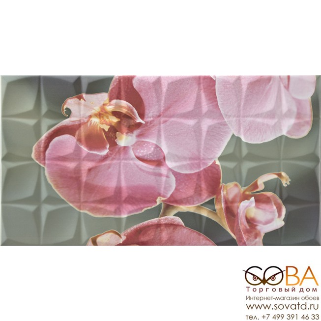 Декор Dec. Orchid B Rosa RSA  31,6x59,34 купить по лучшей цене в интернет магазине стильных обоев Сова ТД. Доставка по Москве, МО и всей России