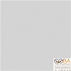 Обои Rasch Pleyada 648287 купить по лучшей цене в интернет магазине стильных обоев Сова ТД. Доставка по Москве, МО и всей России