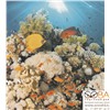 Панно Dec Corals Panno ( из 2-х шт) 50х45, интернет-магазин Sportcoast.ru