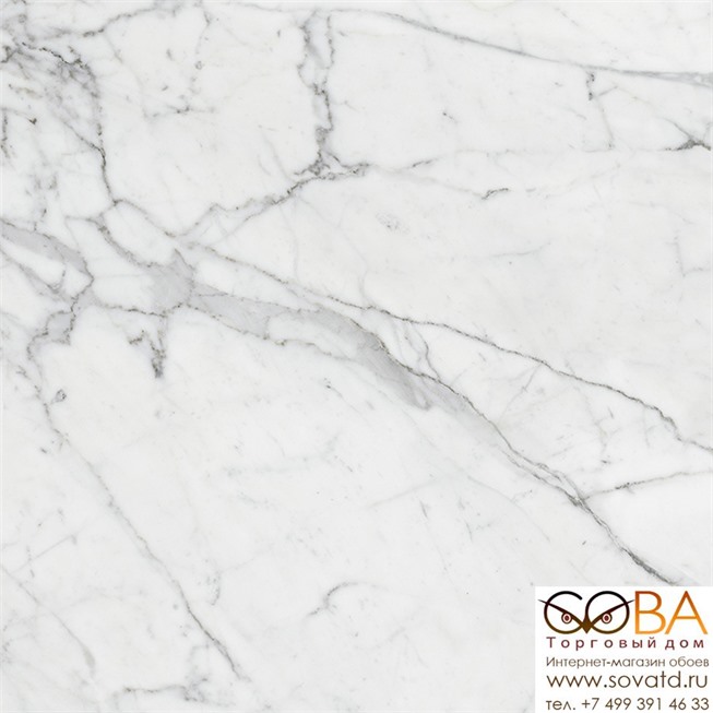 Керамогранит Marble Trend K-1000/LR/60x60x10/S1 Carrara купить по лучшей цене в интернет магазине стильных обоев Сова ТД. Доставка по Москве, МО и всей России