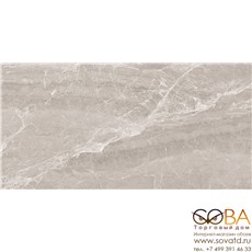 Керамогранит Nostalgic Silver  60х120 Полированный купить по лучшей цене в интернет магазине стильных обоев Сова ТД. Доставка по Москве, МО и всей России