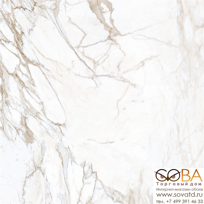 Керамогранит Marble Trend  K-1001/LR/60x60 Calacatta купить по лучшей цене в интернет магазине стильных обоев Сова ТД. Доставка по Москве, МО и всей России