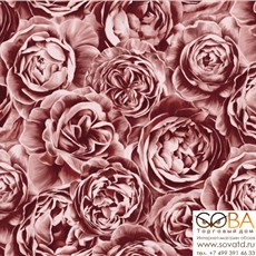 Обои Erismann 4583-6 Azzurra купить по лучшей цене в интернет магазине стильных обоев Сова ТД. Доставка по Москве, МО и всей России