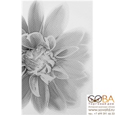 Декор Камелия  черный 03 25x40 купить по лучшей цене в интернет магазине стильных обоев Сова ТД. Доставка по Москве, МО и всей России