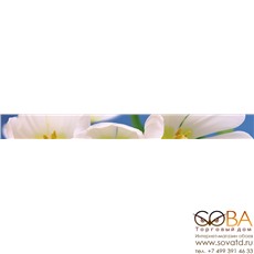 Бордюр Blue garden  6х60 купить по лучшей цене в интернет магазине стильных обоев Сова ТД. Доставка по Москве, МО и всей России