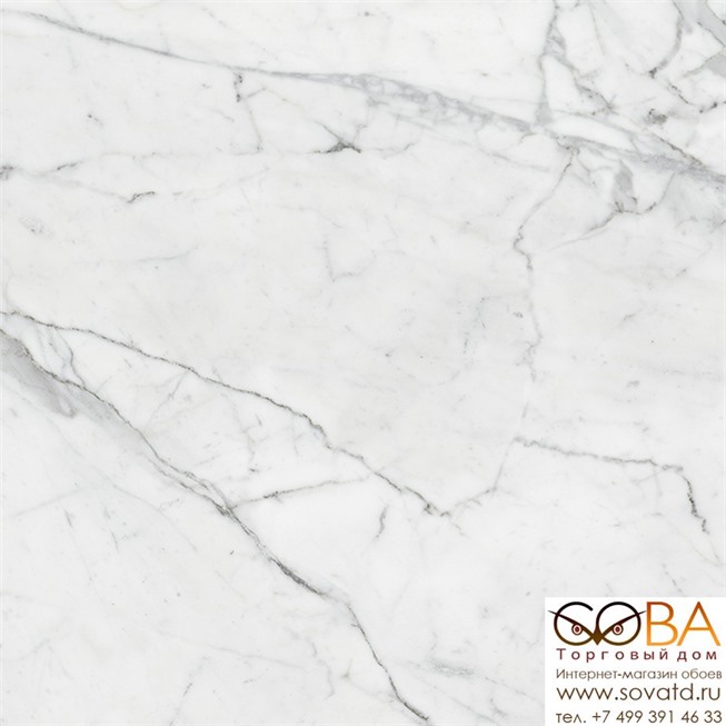 Керамогранит Marble Trend K-1000/MR/60x60x10/S1 Carrara купить по лучшей цене в интернет магазине стильных обоев Сова ТД. Доставка по Москве, МО и всей России