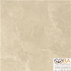 Керамогранит Шарм Экстра Аркадиа 60х60 нат. рет купить по лучшей цене в интернет магазине стильных обоев Сова ТД. Доставка по Москве, МО и всей России