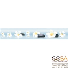 Бордюр Dream  B300D185 4.5х30 купить по лучшей цене в интернет магазине стильных обоев Сова ТД. Доставка по Москве, МО и всей России