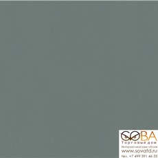 Обои Erismann Antonia 12007-18 купить по лучшей цене в интернет магазине стильных обоев Сова ТД. Доставка по Москве, МО и всей России