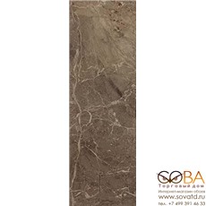 Плитка Atlas Concorde  Привиледж Мока 25х75 купить по лучшей цене в интернет магазине стильных обоев Сова ТД. Доставка по Москве, МО и всей России