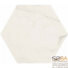 Керамогранит Marazzi  Allmarble Altissimo 21х18,2 купить по лучшей цене в интернет магазине стильных обоев Сова ТД. Доставка по Москве, МО и всей России