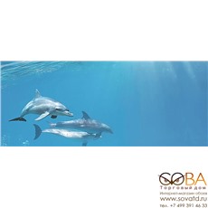 Декор Porto Dolphins 1 centro  25x60 купить по лучшей цене в интернет магазине стильных обоев Сова ТД. Доставка по Москве, МО и всей России