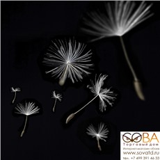 Декор Taraxacum 2  10х10 купить по лучшей цене в интернет магазине стильных обоев Сова ТД. Доставка по Москве, МО и всей России